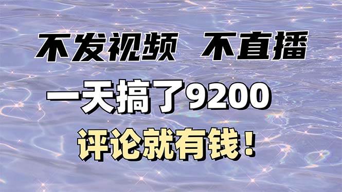 （14018期）不发作品不直播，评论就有钱，一条最高10块，一天搞了9200-大熊网创