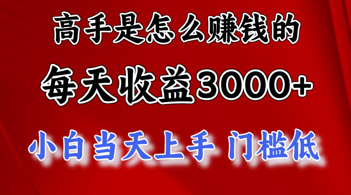 （12144期）1天收益3000+，月收益10万以上，24年8月份爆火项目-大熊网创