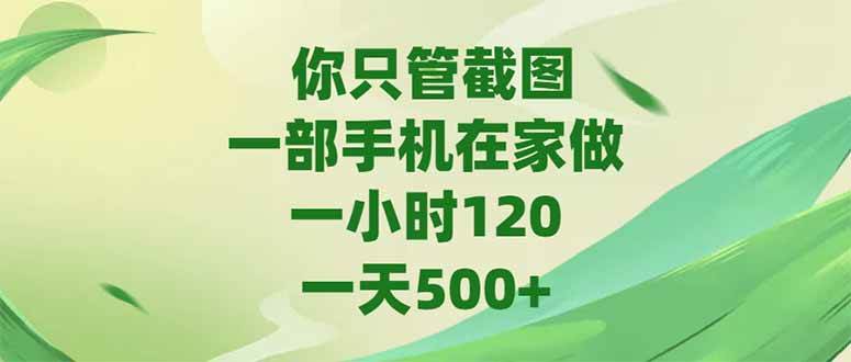 （15039期）你只管截图，一部手机在家做，一小时120，-天500+-大熊网创
