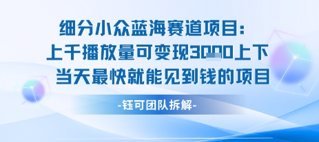 小众蓝海赛道项目：当天变现1k+适合新手操作 +适合长期玩-大熊网创