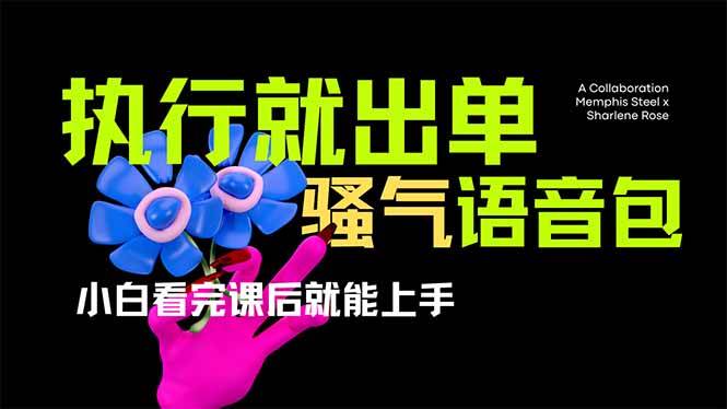 （14170期）爆火全网的开车导航骚气语音包,只要执行就出单，小白看完课程就能实操…-大熊网创