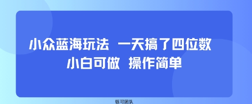 小众蓝海玩法 一天搞了四位数 小白可做 操作简单-大熊网创