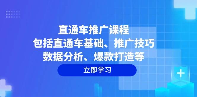 （14001期）直通车推广课程：包括直通车基础、推广技巧、数据分析、爆款打造等-大熊网创