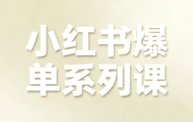 尼采老师·小红书爆单系列课-大熊网创