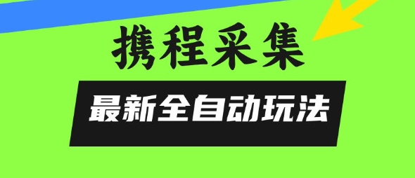 携程信息采集全自动玩法，0风控，无脑开干【揭秘】-大熊网创