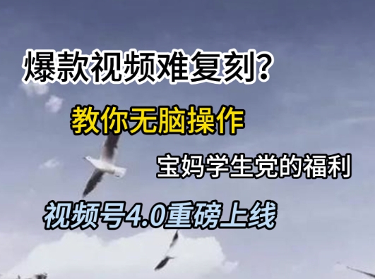 视频号4.0重磅上线，爆款视频难复刻？教你无脑操作宝妈学生党的福利【揭秘】-大熊网创