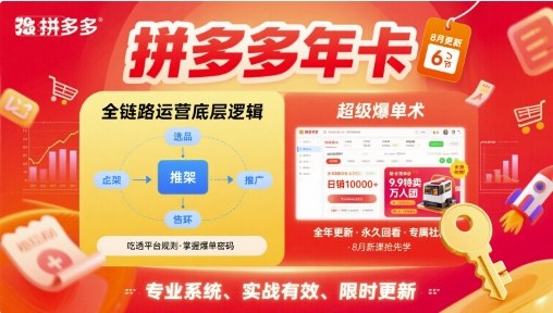 拼多多年卡【8月更新6节】拼多多全链路运营底层逻辑，超级爆单术-大熊网创