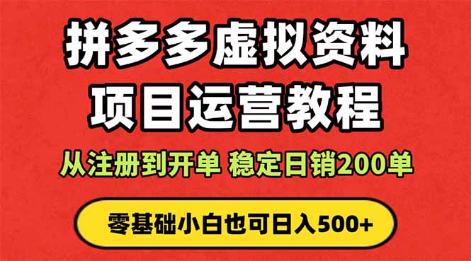 拼多多开店运营课程： 蓝海变现玩法，轻松实现睡后收入 零基础小白也可…-大熊网创