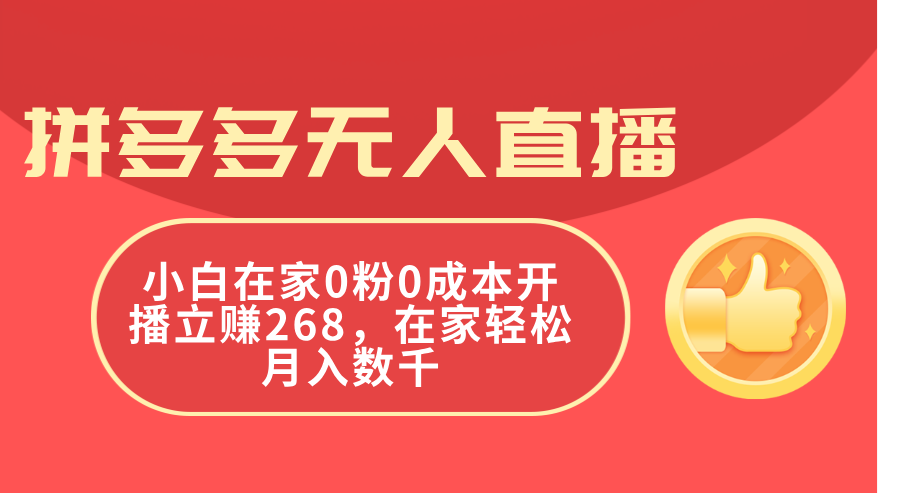 （11521期）拼多多无人直播，小白在家0粉0成本开播立赚268，在家轻松月入数千-大熊网创