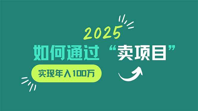 （14176期）2025年如何通过“卖项目”实现年入100万-大熊网创