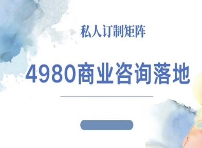 4980商业咨询师落地课程-ip运营高客单教程-大熊网创