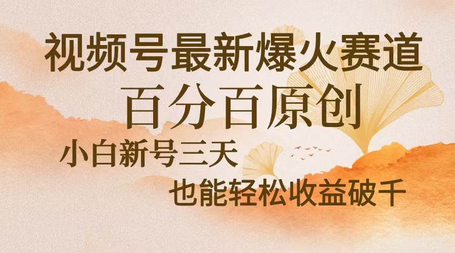 （13225期）视频号最新爆火赛道，中老年粉深信不疑，百分百原创，新号三天收益轻松…-大熊网创