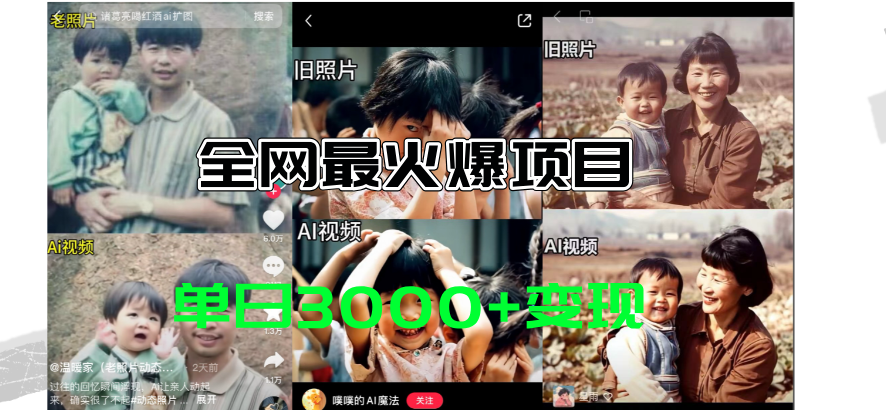 （11546期）全网爆火的AI让老照片动起来教程，蹭热点日赚3000+，内含免费工具一键…-大熊网创