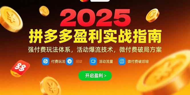 （15357期）拼多多盈利实战指南，强付费玩法，活动爆流技术，微付费破局方案(更新7月)-大熊网创