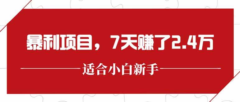 （15228期）最新暴利项目，每单收益轻松在300以上，7天赚了2.4万-大熊网创