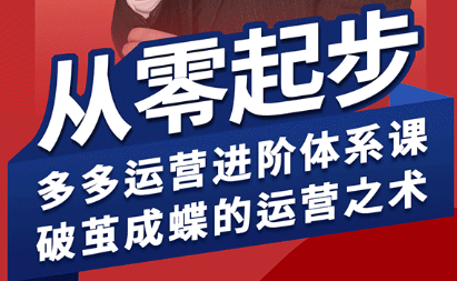 海神·拼多多运营进阶系统课(更新9月)-大熊网创