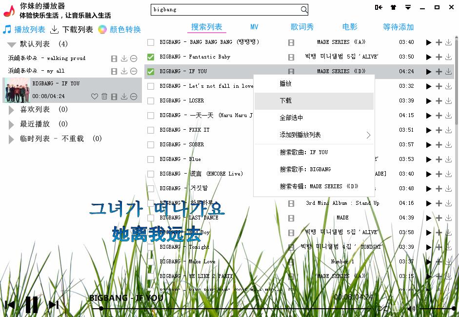 你妹的播放器全套源码功能齐全-大熊网创