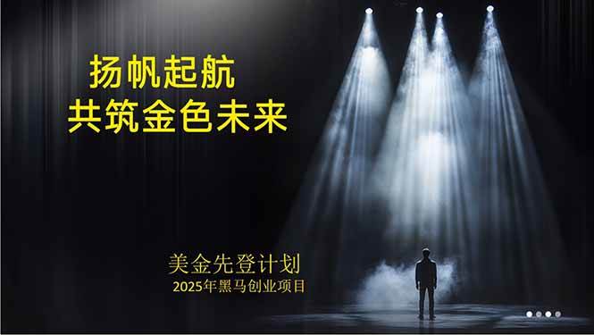 （15748期）美金对冲创业项目，日收益1000-3000，小众暴力项目稳定运行8年-大熊网创