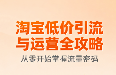 淘宝低价引流与运营全攻略(更新9月)-大熊网创