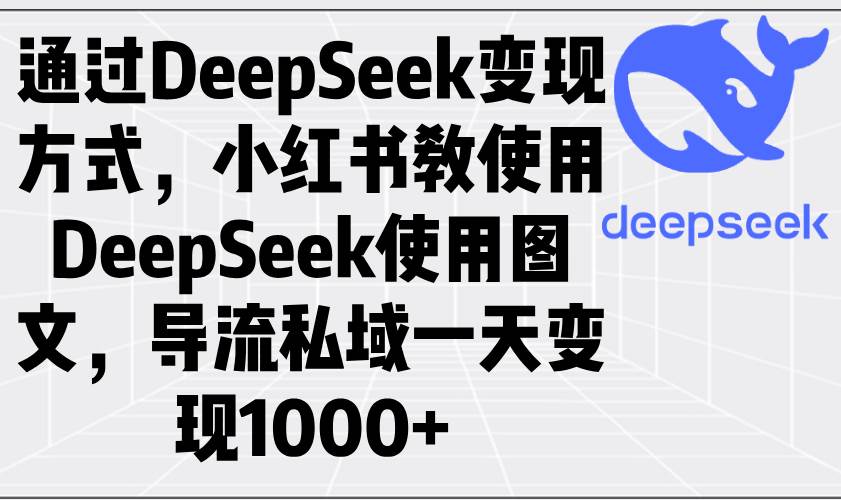 （14179期）通过DeepSeek变现方式，小红书教使用DeepSeek图文，导流私域一天变现1000+-大熊网创