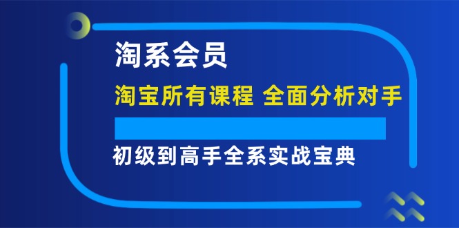 （12055期）淘系会员【淘宝所有课程，全面分析对手】，初级到高手全系实战宝典-大熊网创