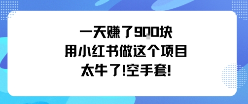 一天挣了9张用小红书做这个项目太牛了，空手套-大熊网创