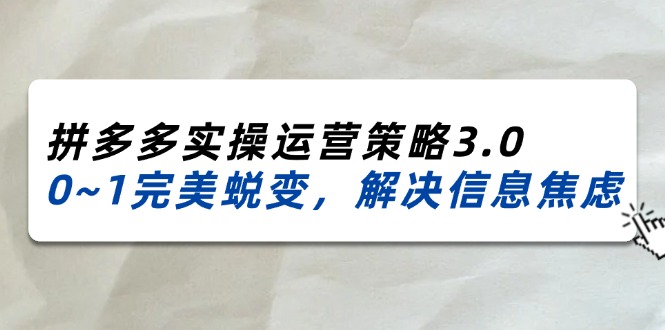 （11658期）2024_2025拼多多实操运营策略3.0，0~1完美蜕变，解决信息焦虑（38节）-大熊网创