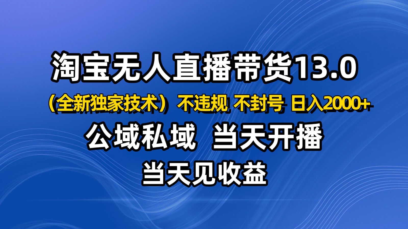 淘宝无人直播13.0，公域私域技术，不封号，不违规 布局下半年旺季赛道，日入2000+-大熊网创