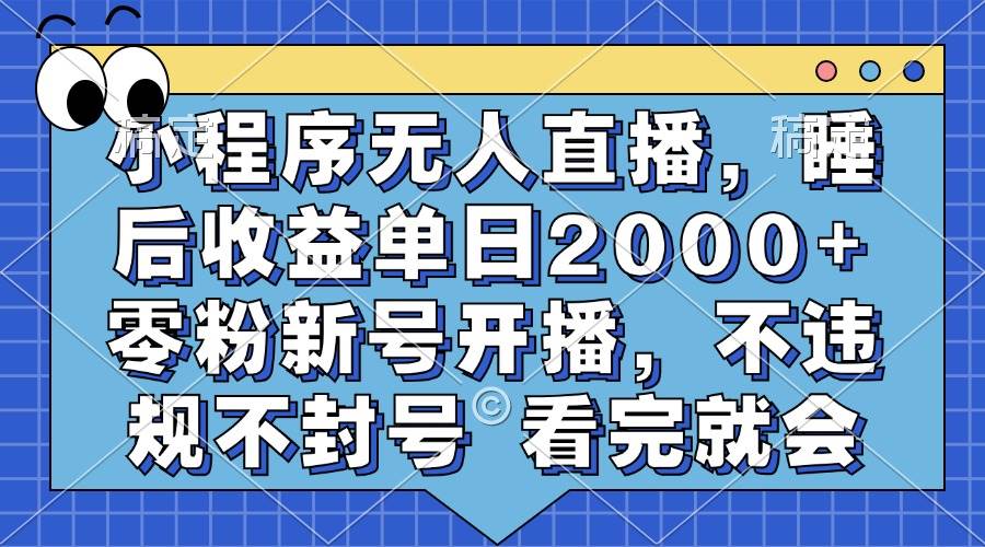 （13251期）小程序无人直播，睡后收益单日2000+ 零粉新号开播，不违规不封号 看完就会-大熊网创