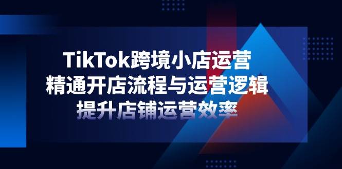 （14369期）TikTok跨境小店运营，精通开店流程与运营逻辑，提升店铺运营效率-大熊网创