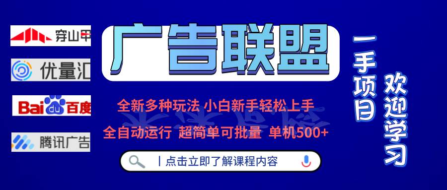 （13258期）广告联盟 全新多种玩法 单机500+ 全自动运行 可批量运行-大熊网创