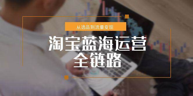 （15160期）淘宝蓝海运营全链路，从选品到流量变现，小类目突围完整方案-大熊网创