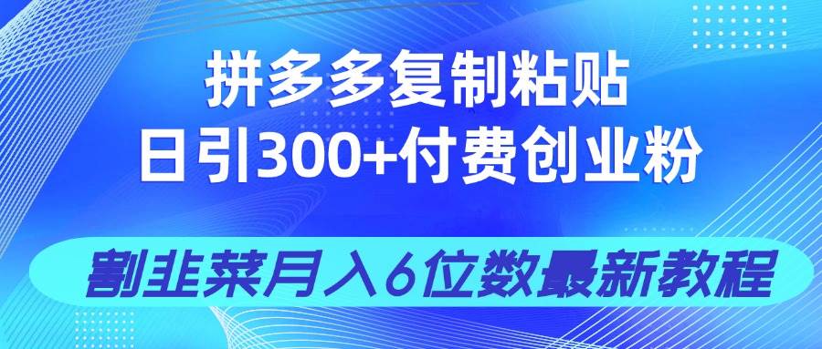 （14232期）拼多多复制粘贴日引300+付费创业粉，割韭菜月入6位数最新教程！-大熊网创