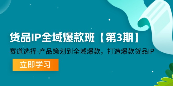 （12078期）货品-IP全域爆款班【第3期】赛道选择-产品策划到全域爆款，打造爆款货品IP-大熊网创