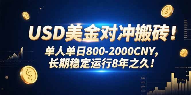 （15551期）USD美金对冲搬砖!单人单日800-2000CNY，长期稳定运行8年之久!-大熊网创