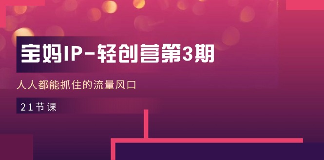 （11042期）宝妈IP-轻创营第3期，人人都能抓住的流量风口（21节课）-大熊网创