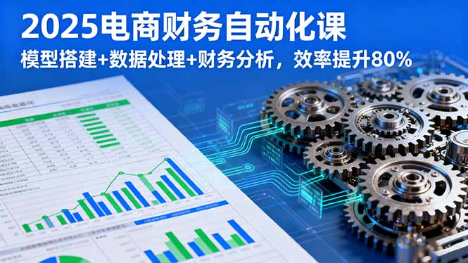 2025电商财务自动化课，模型搭建+数据处理+财务分析，效率提升80%-大熊网创