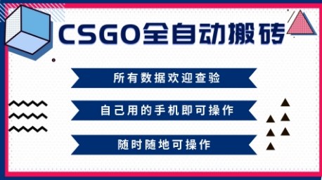 CSGO全自动搬砖，年底钱回家好项目，当天可拿到结果，新手小白轻松月入1W+【揭秘】-大熊网创