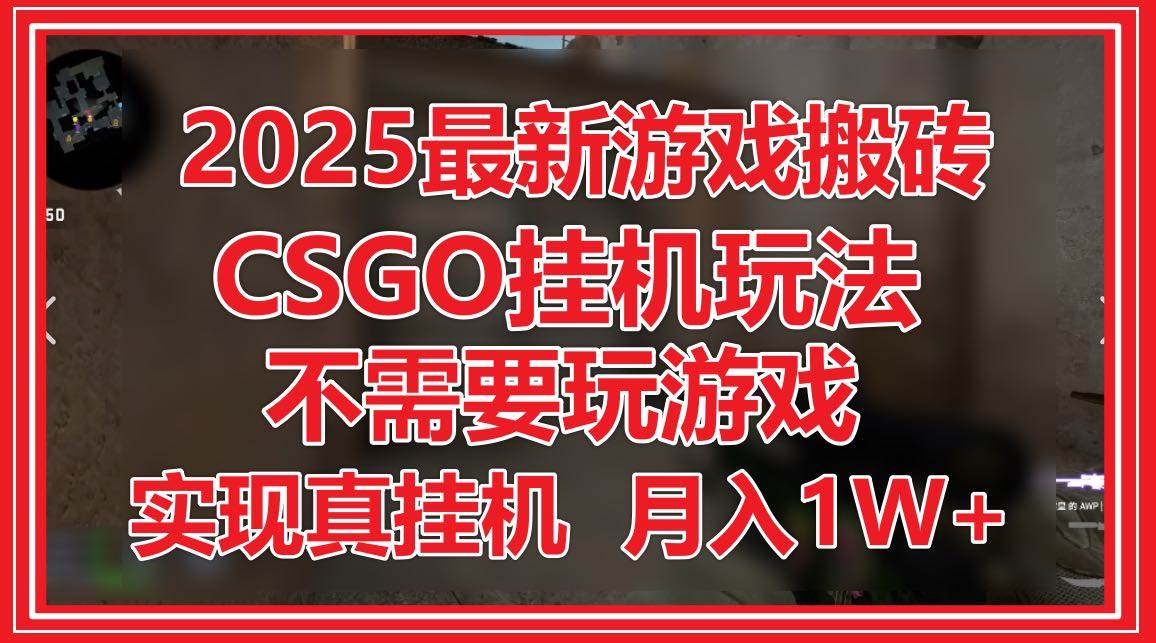 （14743期）2025最新游戏搬砖，CSGO挂机，不需要玩游戏，实现真挂机，月入1W+-大熊网创