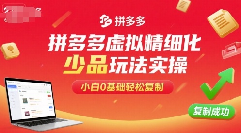 拼多多虚拟精细化少品玩法实操，小白0基础轻松复制-大熊网创