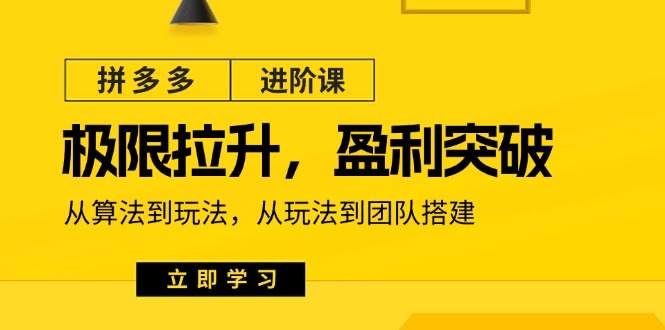 （11435期）拼多多·进阶课：极限拉升/盈利突破：从算法到玩法 从玩法到团队搭建-18节-大熊网创