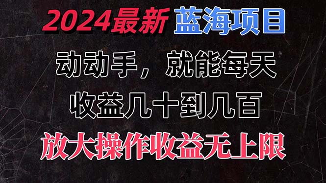 （11470期）有手就行的2024全新蓝海项目，每天1小时收益几十到几百，可放大操作收…-大熊网创