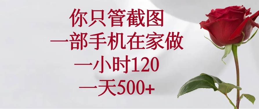 （14248期）你只管截图，一部手机在家做，一小时120，一天500+-大熊网创