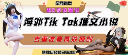海外tiktok小说推文暴力项目，高停留率，高转化率，上手后一天搞顿饭钱不是问题-大熊网创