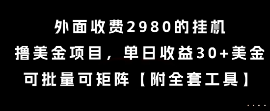 外面收费2980的挂G撸美金项目，单日收益30+美金，可批量可矩阵【揭秘】-大熊网创