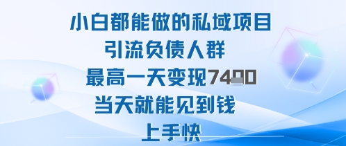 2025年小白都能做的私域项目引流负债人群最高一天变现1k+高变现难度低当天就能见到钱上手快-大熊网创