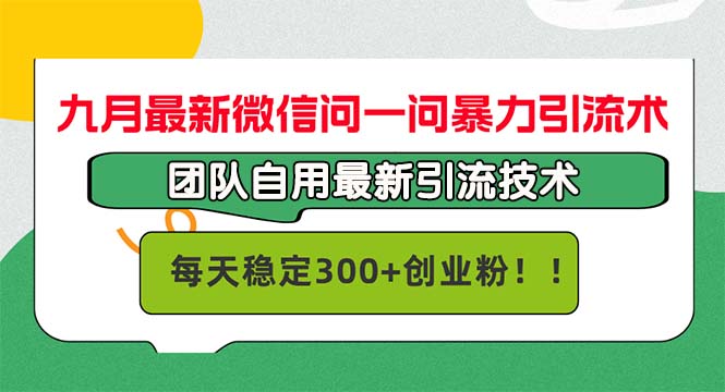 （12735期）九月最新微信问一问暴力引流术，团队自用引流术，每天稳定300+创…-大熊网创