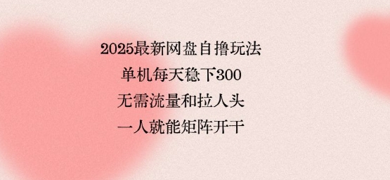 2025最新网盘自撸玩法，单机每天稳下3张，无需流量和拉人头，一个人就可轻松矩阵，全网独一份【揭秘】-大熊网创