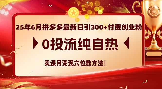 （14989期）25年6月拼多多最新日引300+付费创业粉，0投流纯自热 卖课月变现六位数方法-大熊网创