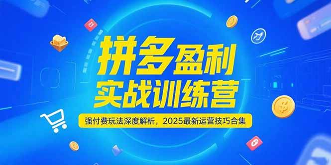 （15183期）拼多多盈利实战训练营，强付费玩法深度解析，2025最新运营技巧合集-大熊网创
